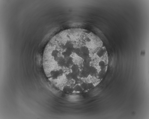 X0000112470669200909281047