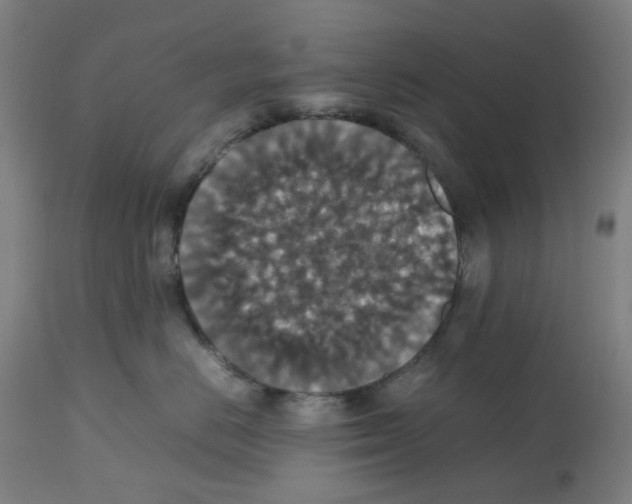 X0000112470670200909281047