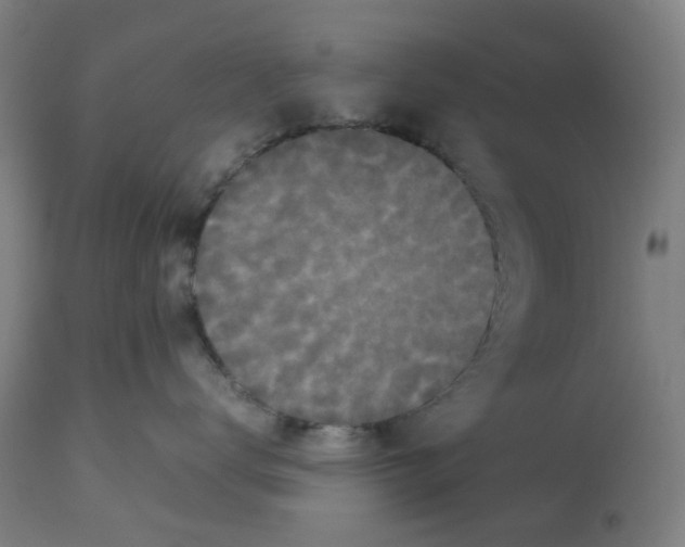 X0000112470672200909281047