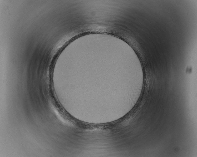 X0000112470674200909281046