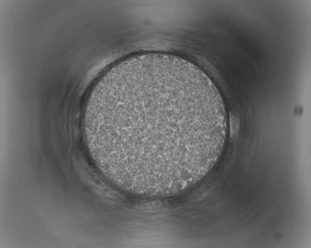 X0000112470675200909281046