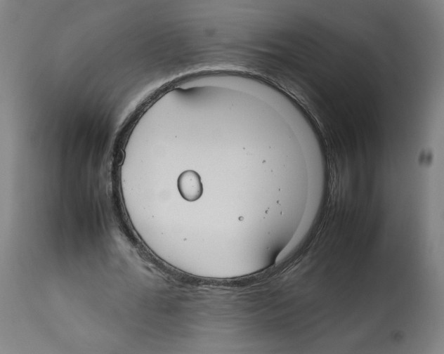 X0000112470676200909281046