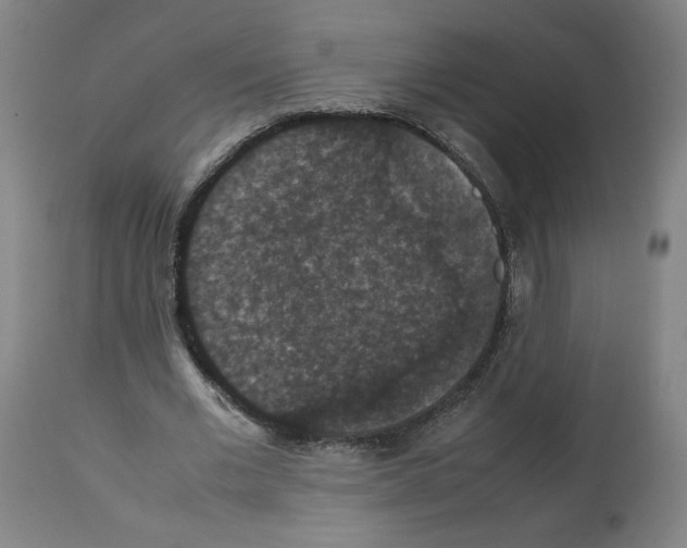 X0000112470677200909281046