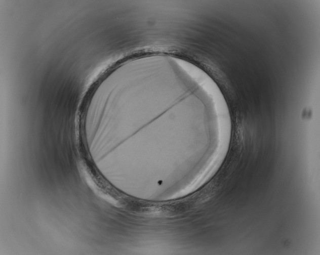X0000112470678200909281046