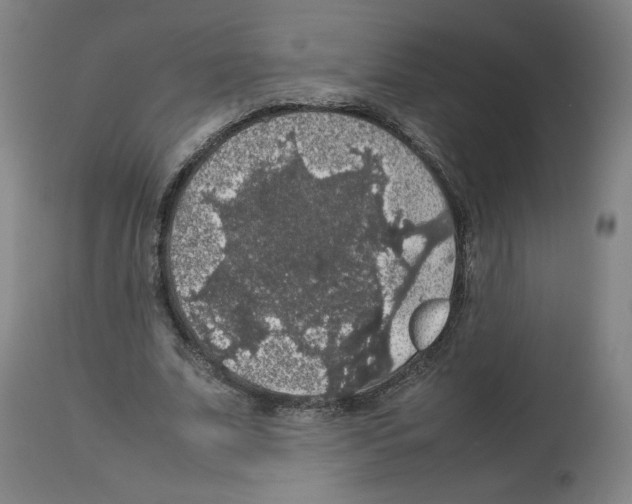 X0000112470679200909281046