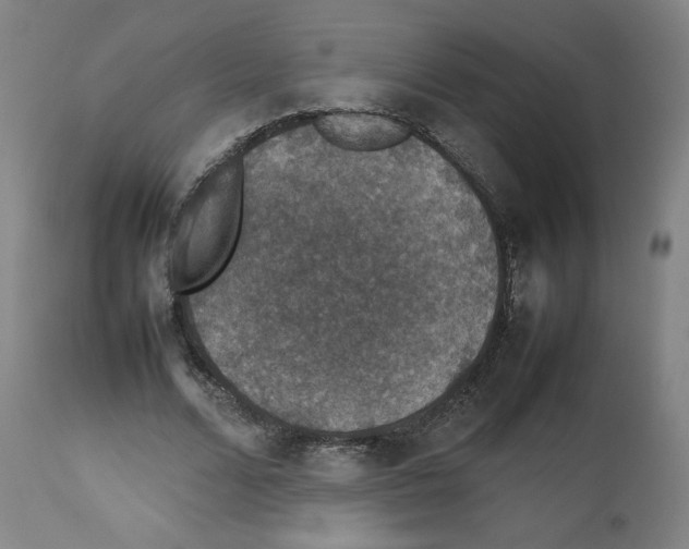 X0000112470680200909281046