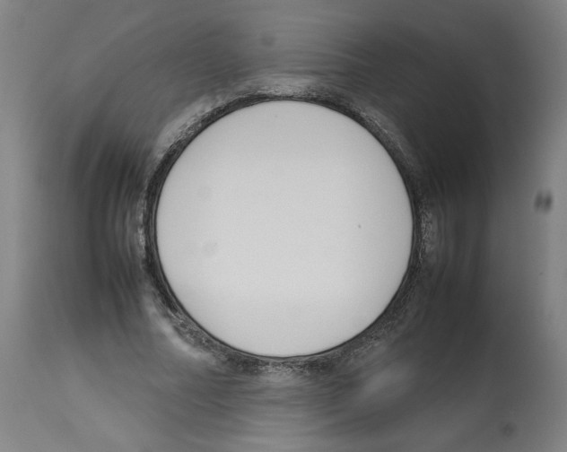 X0000112470682200909281046