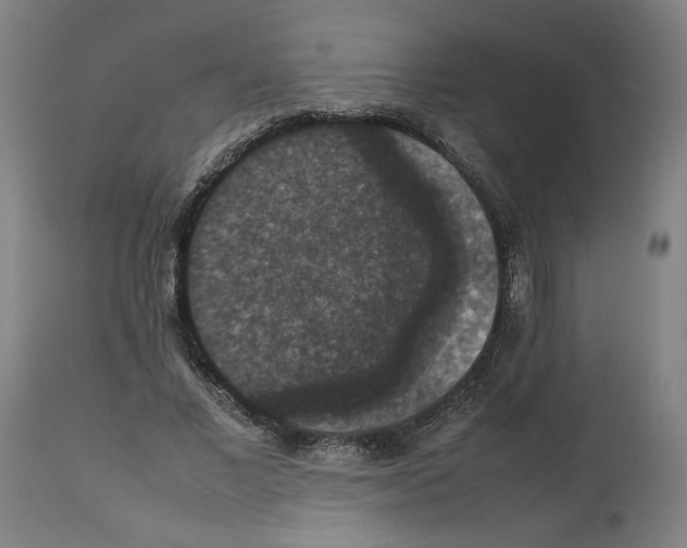 X0000112470685200909281046
