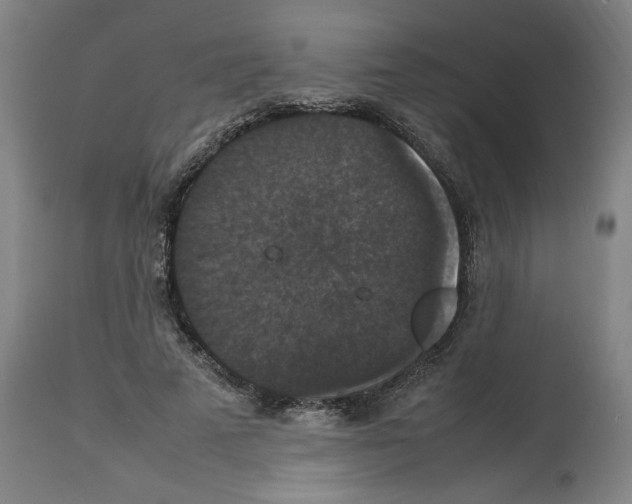 X0000112470689200909281046