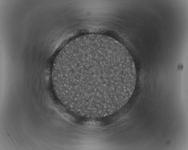 X0000112470691200909281046