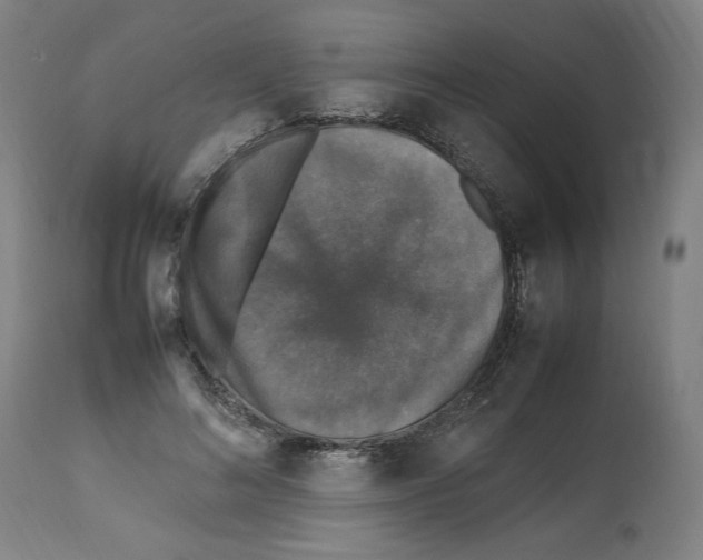 X0000112470692200909281046