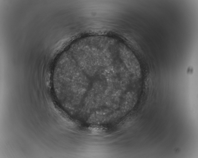 X0000112470693200909281046