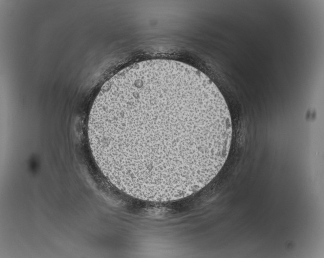 X0000112470695200909281046