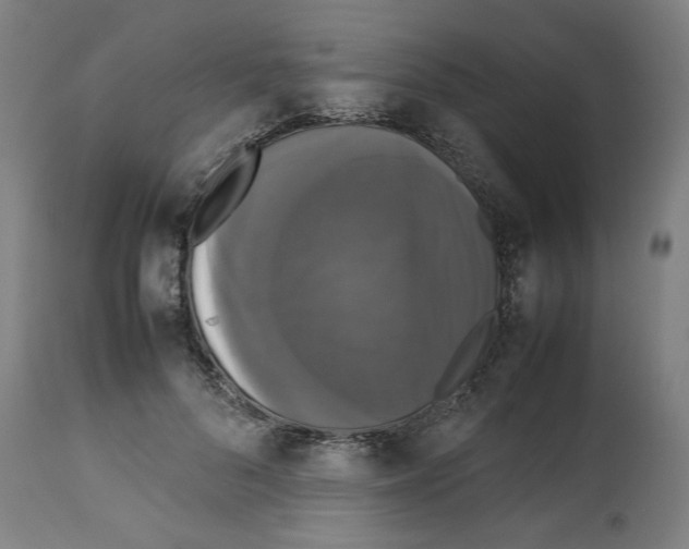 X0000112470696200909281046