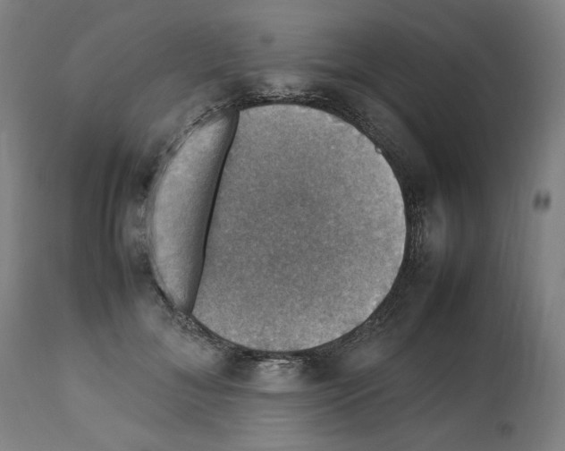 X0000112470700200909281046