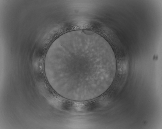 X0000112470701200909281046
