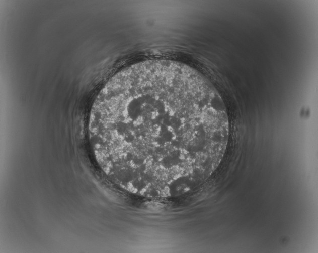 X0000112470703200909281046
