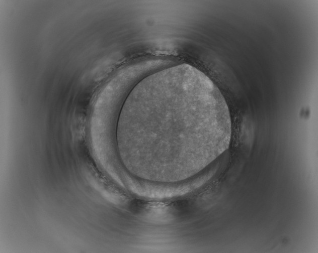 X0000112470704200909281046