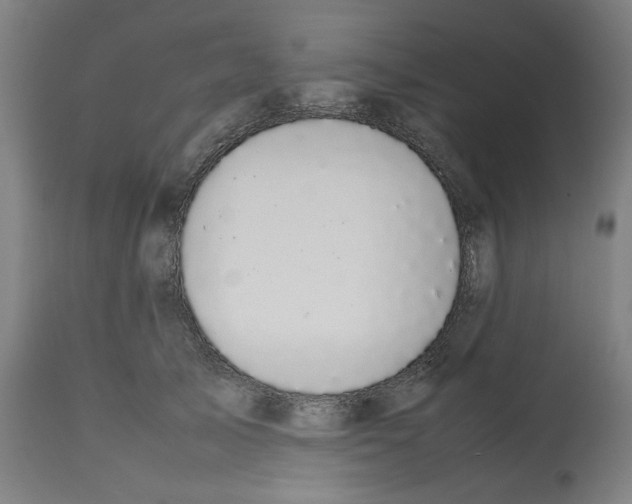 X0000112470705200909281046