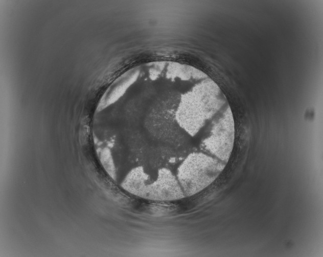 X0000112470707200909281046
