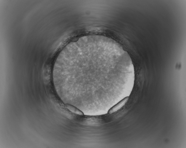 X0000112470708200909281046