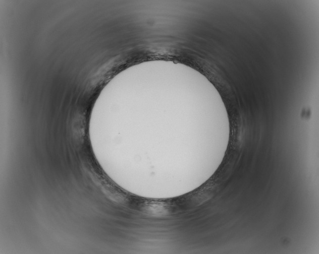 X0000112470710200909281046