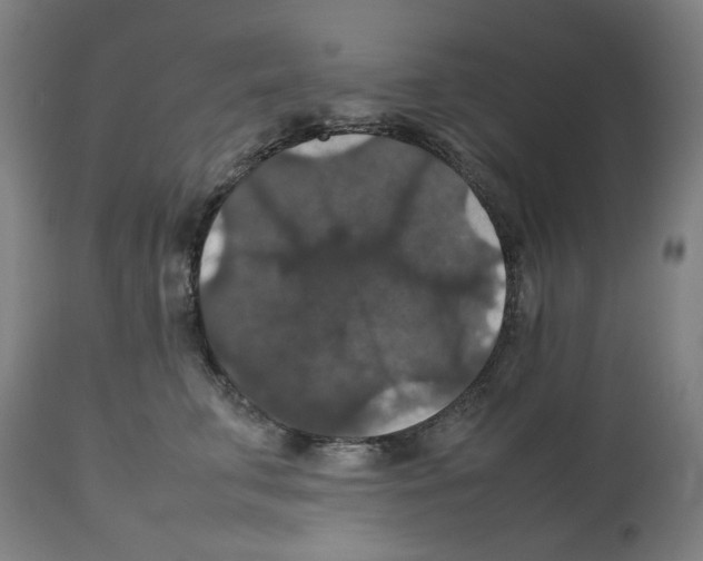 X0000112470711200909281046