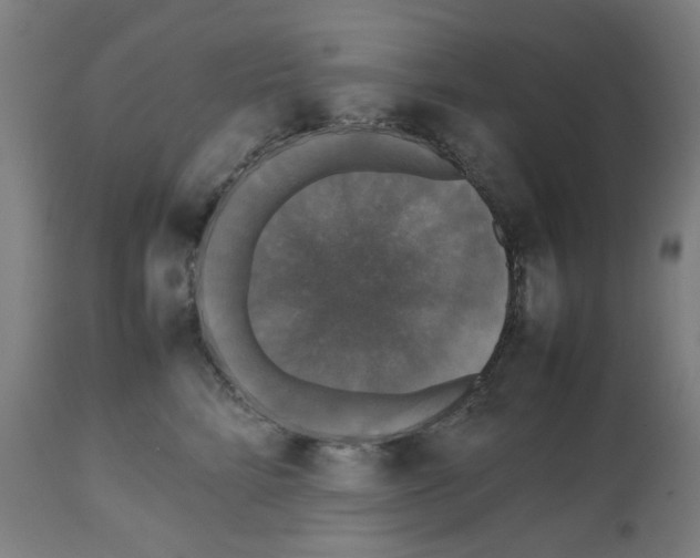 X0000112470712200909281046