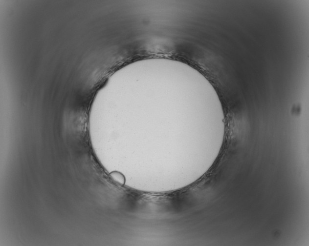 X0000112470713200909281046