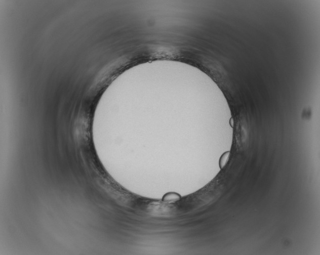 X0000112470714200909281046