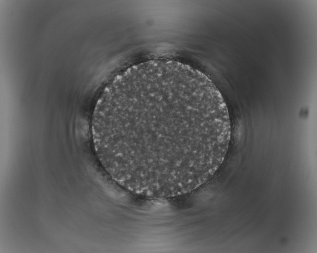 X0000112470715200909281045