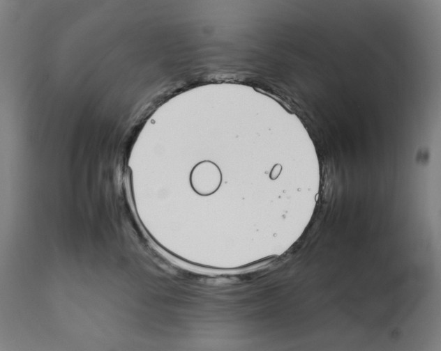X0000112470716200909281045