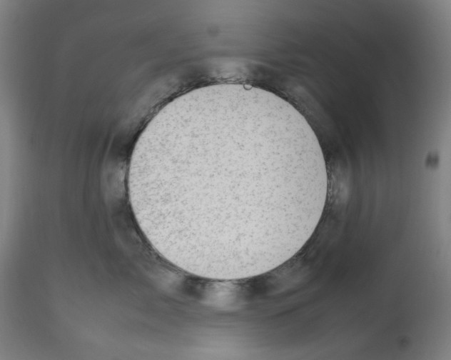 X0000112470717200909281045