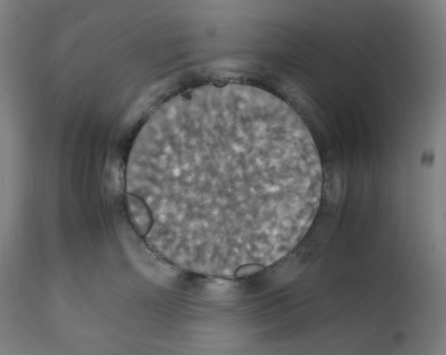 X0000112470718200909281045