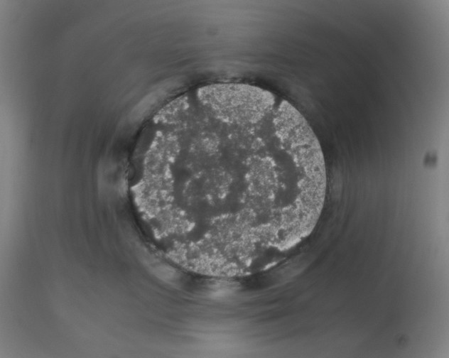 X0000112470719200909281045