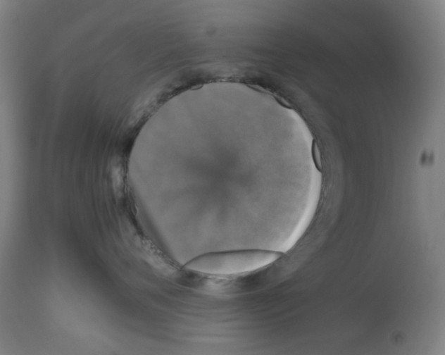 X0000112470720200909281045