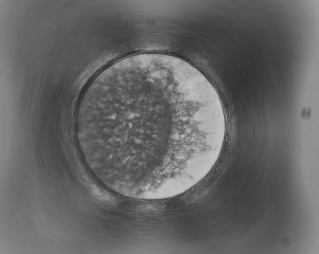 X0000112470721200909281045