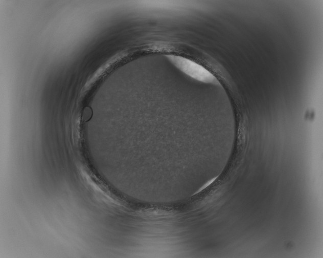 X0000112470722200909281045