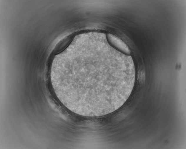 X0000112470724200909281045