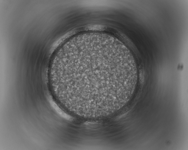 X0000112470725200909281045