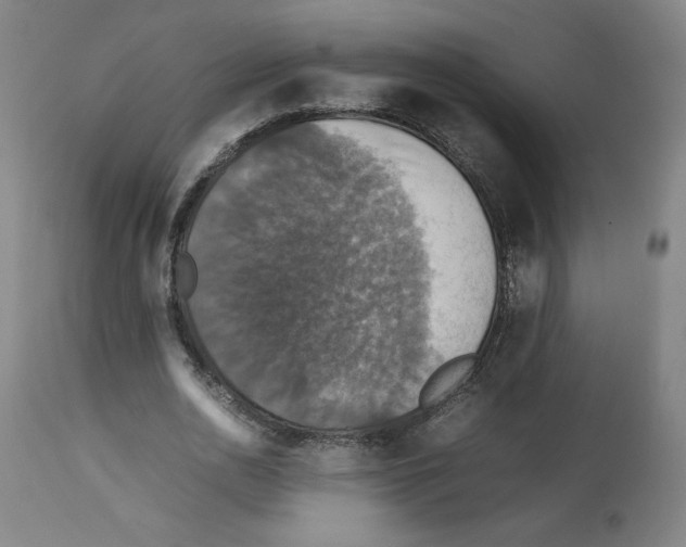 X0000112470726200909281045