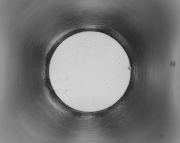 X0000112470728200909281045