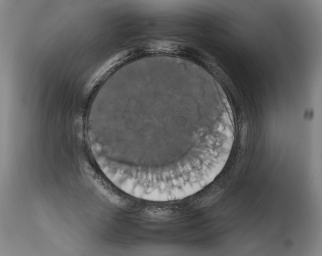 X0000112470729200909281045