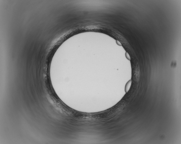 X0000112470732200909281045