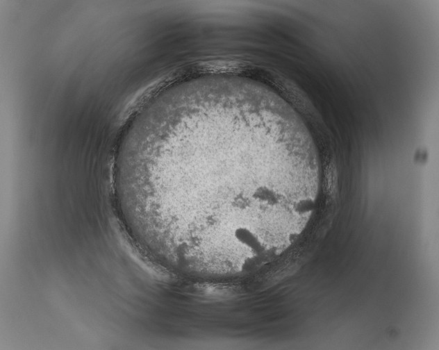 X0000112470733200909281045