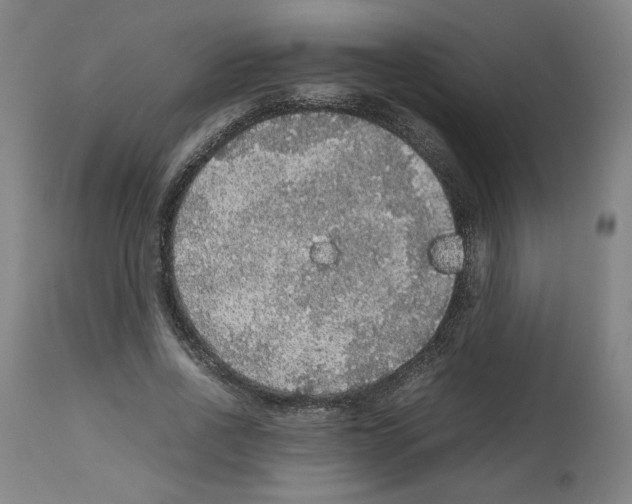 X0000112470734200909281045