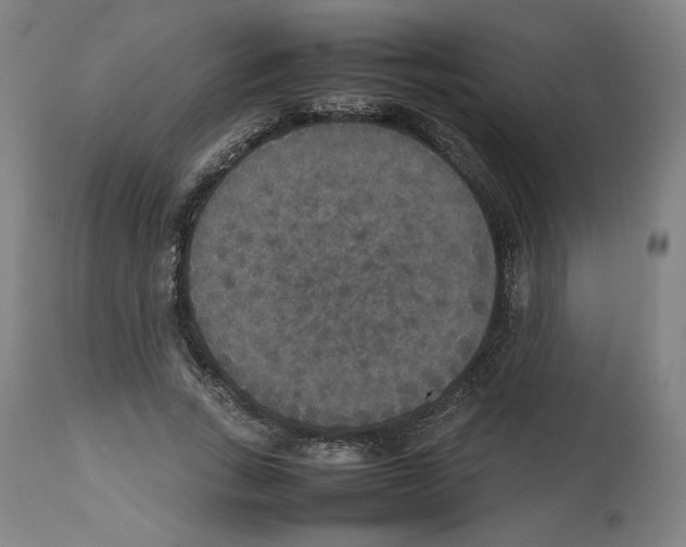 X0000112470735200909281045