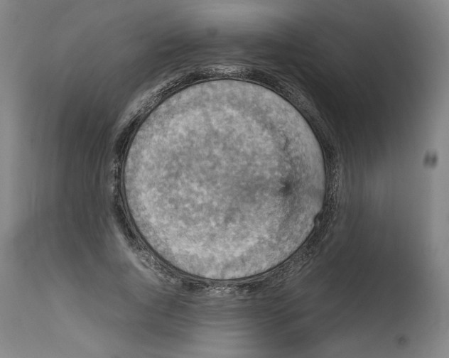 X0000112470736200909281045