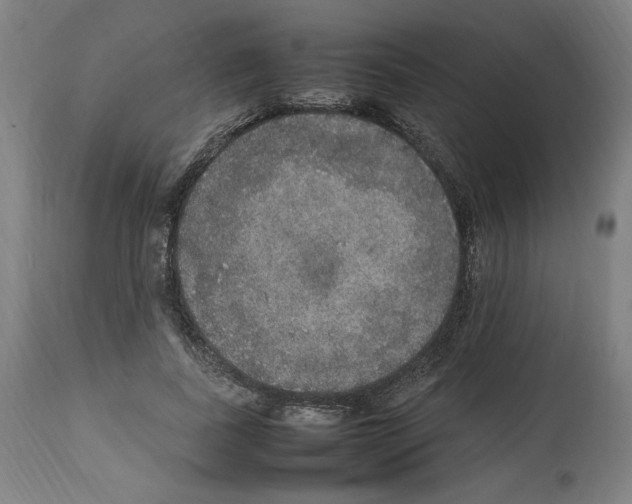 X0000112470739200909281045