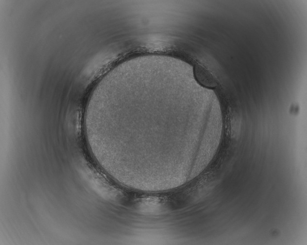 X0000112470740200909281045